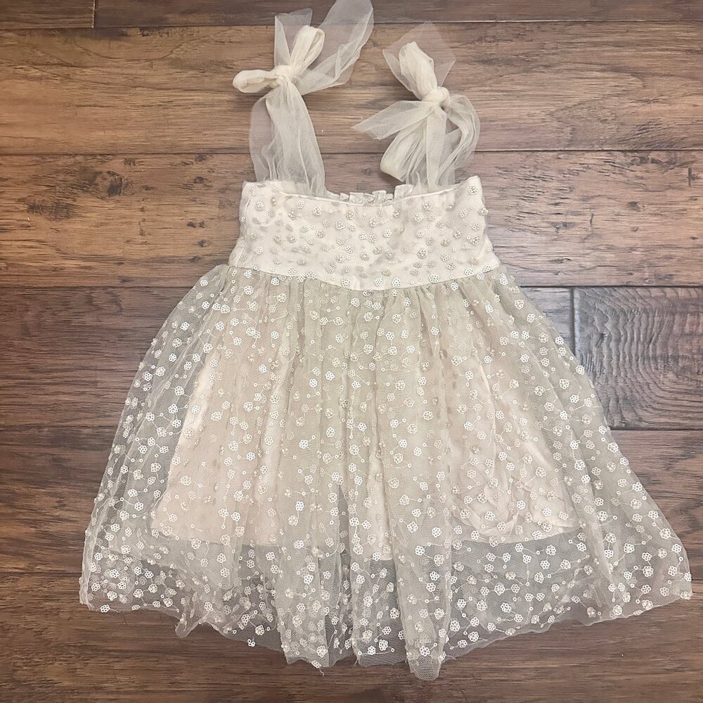 Noralee Beaded Tulle Dress
